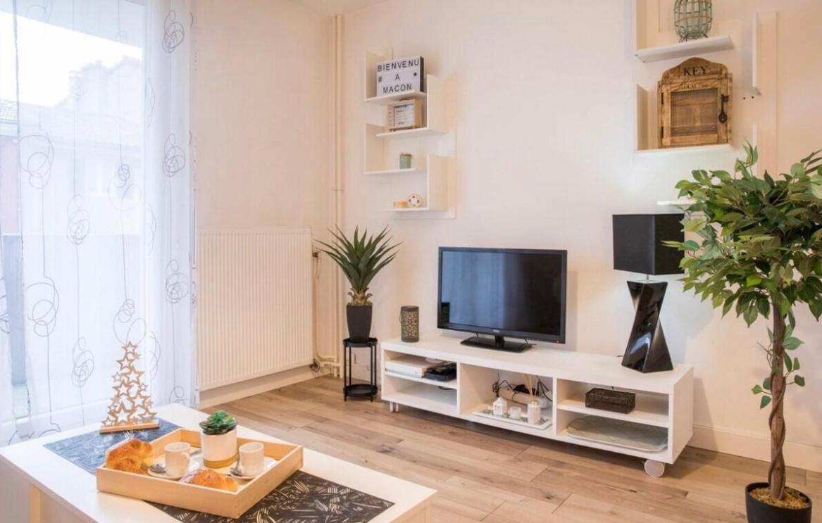Charmant Appartement T1 Mâcon المظهر الخارجي الصورة